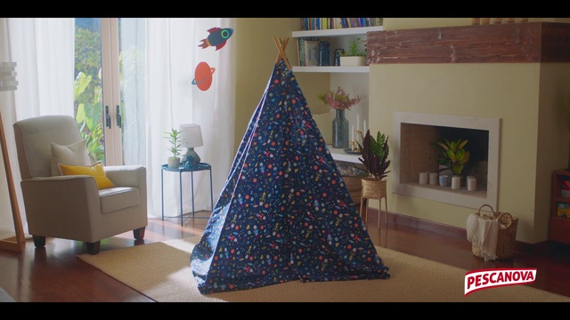 Video Reference: Picture frame, Decoration, Textile, Plant, Interior design, House, Wood, Flooring, Floor, Rectangle