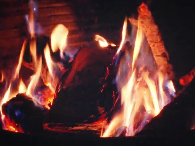 Video Reference: Bonfire, Fire, Flame, Campfire, Heat, Wood, Fireplace, Gas, Event, Building material