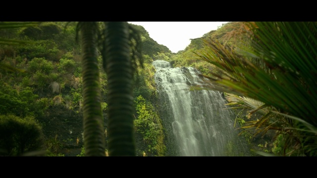 Video Reference: Water, Water resources, Plant, Natural landscape, Waterfall, Terrestrial plant, Sunlight, Chute, Watercourse, Tree