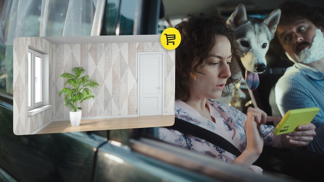 Video Reference: Plant, Dog, Green, Flowerpot, Leisure, Houseplant, Travel, Event, Companion dog, Fun