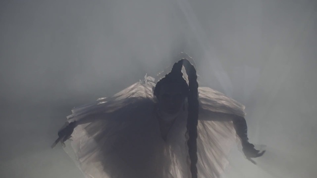 Video Reference: Flash photography, Feather, Beak, Wing, Fog, Event, Mist, Monochrome photography, Smoke, Landscape