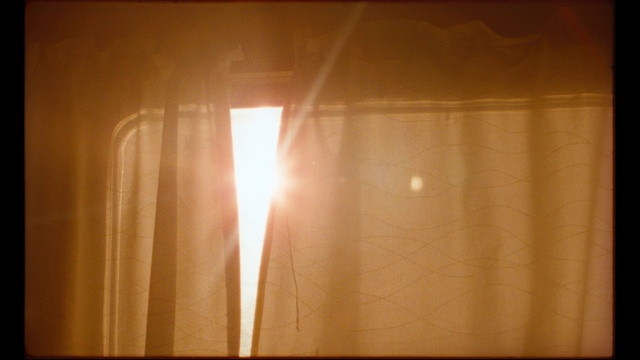 Video Reference: Window, Wood, Tree, Rectangle, Street light, Lens flare, Heat, Tints and shades, Automotive lighting, Shade