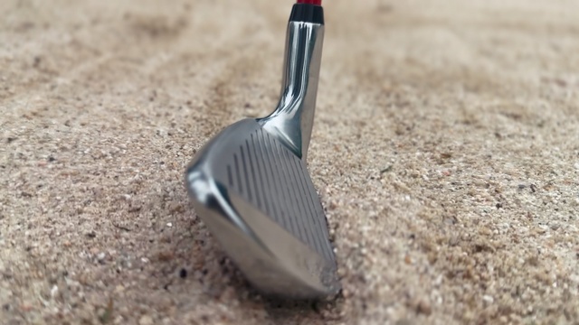 Video Reference: Wood, Quill, Electric blue, Sports equipment, Glass, Soil, Golf equipment, Shadow, Terrestrial animal, Macro photography