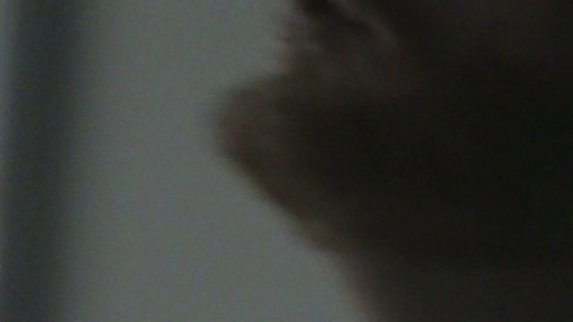 Video Reference: Eyelash, Tints and shades, Fog, Darkness, Fur, Font