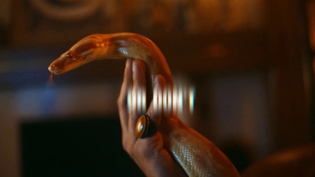 Video Reference: Wood, Toy, Tail, Metal, Macro photography, Art, Tap, Terrestrial animal, Door handle, Automotive lighting