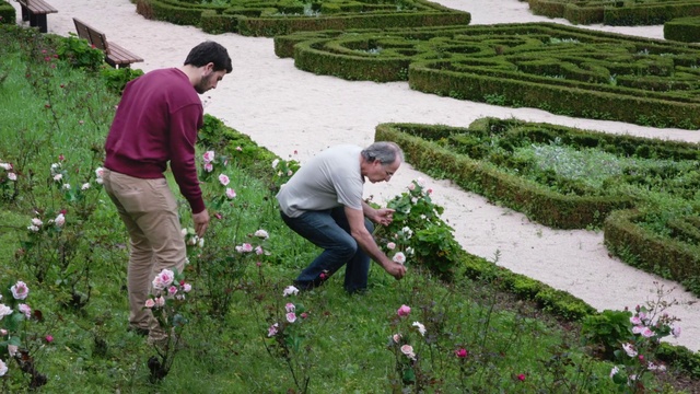 Video Reference: Flower, Plant, Water, People in nature, Green, Botany, Grass, Landscape, Petal, Groundcover