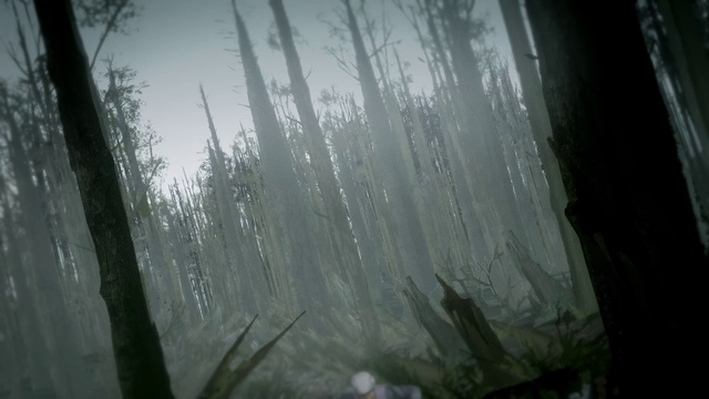 Video Reference: Atmosphere, Water, Window, Sky, Wood, Twig, Plant, Trunk, Natural landscape, Terrestrial plant