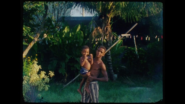 Video Reference: Plant, People in nature, Natural environment, Flash photography, Branch, Organism, Grass, Tree, Fawn, Happy
