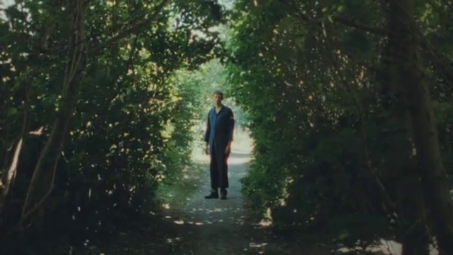 Video Reference: People in nature, Flash photography, Natural landscape, Wood, Gesture, Road surface, Grass, Tints and shades, Landscape, Road