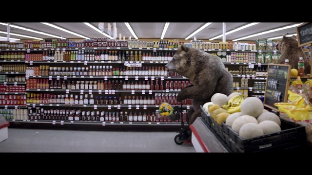 Video Reference: Shelf, Bottle, Toy, Natural foods, Building, Convenience store, Shelving, Customer, Retail, Whole food