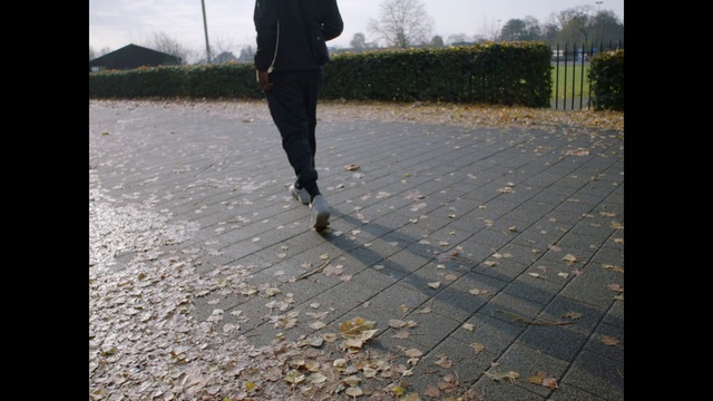 Video Reference: Plant, Black, Road surface, Sky, Asphalt, Grass, Tree, People in nature, Flooring, Sidewalk