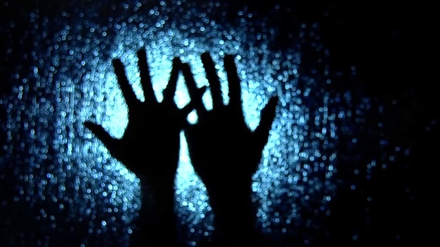 Video Reference: Hand, People in nature, Water, Flash photography, Plant, Organism, Finger, Gesture, Font, Happy