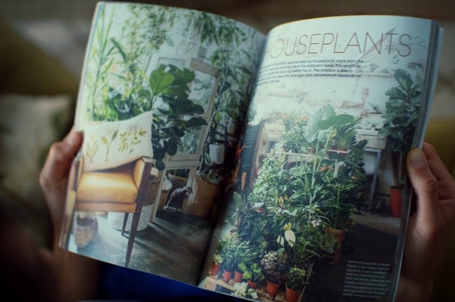 Video Reference: Book, World, Leaf, Botany, Publication, Art, Organism, Font, Art book, Tree