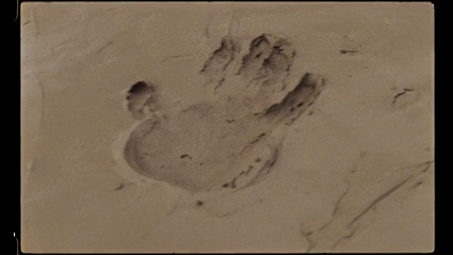 Video Reference: Gesture, Art, Visual arts, Plaster, Snow, Slope, Paw, Paper, Painting, Artwork