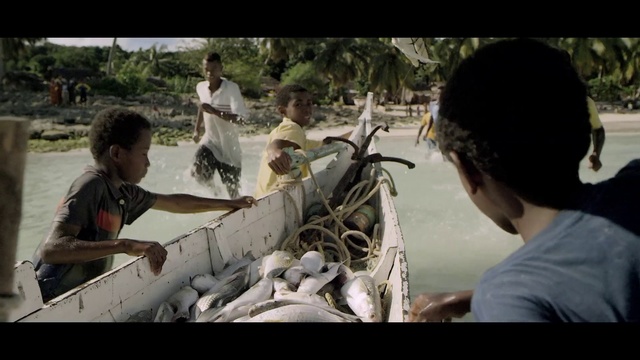 Video Reference: Plant, Tree, Motor vehicle, T-shirt, Leisure, Working animal, Travel, Event, Cart, Recreation