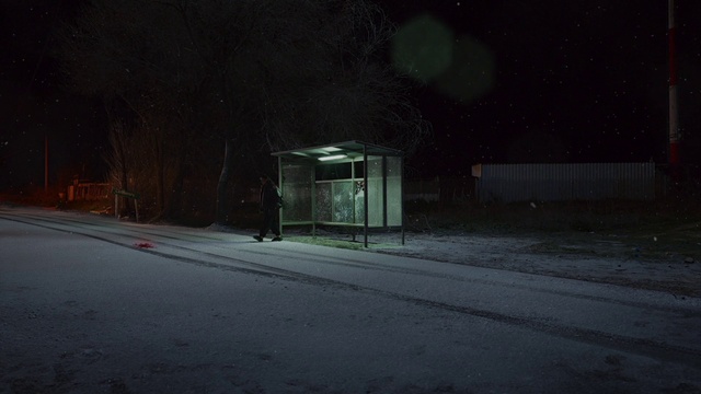 Video Reference: Automotive lighting, Street light, Road surface, Asphalt, Snow, Atmospheric phenomenon, Plant, Freezing, Midnight, Tints and shades