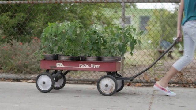 Video Reference: Wheel, Tire, Plant, Automotive tire, Motor vehicle, Fence, Shorts, Wood, Rolling, Grass