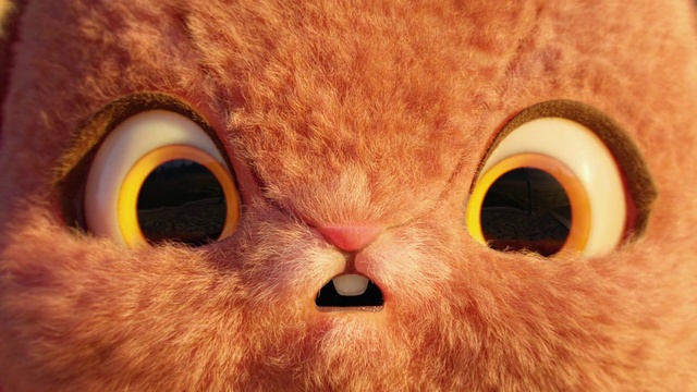 Video Reference: Cat, Eye, Felidae, Carnivore, Small to medium-sized cats, Orange, Organism, Whiskers, Fawn, Wood