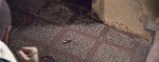 Video Reference: Brown, Road surface, Wood, Grey, Asphalt, Floor, Flooring, Brickwork, Brick, Hardwood