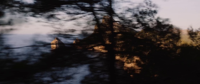 Video Reference: Water, Wood, Natural landscape, Twig, Sky, Trunk, Tints and shades, Landscape, Forest, Grass