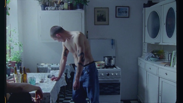 Video Reference: Plant, Cabinetry, Muscle, Kitchen, Picture frame, Shorts, Kitchen appliance, Home appliance, Houseplant, Flooring