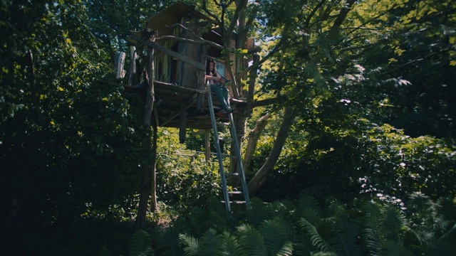 Video Reference: Plant, Tree, Grass, Wood, Trunk, Leisure, Tints and shades, Shade, Shrub, Landscape