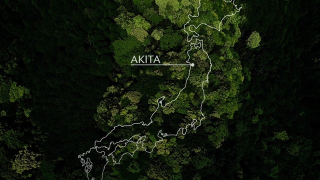 Video Reference: Ecoregion, Map, World, Terrestrial plant, Screenshot, Nature reserve, Forest, Font, Jungle, Pattern