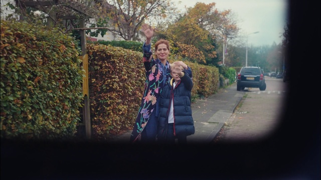 Video Reference: Plant, Sky, Car, Tree, Sunlight, Flash photography, Grass, Automotive lighting, Road surface, Asphalt