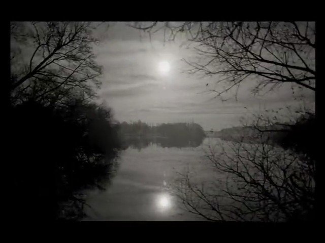 Video Reference: landscape, river, lake, water, sun, reflection, trees, branches, winter, monochrome, nature, calm, outdoors, horizon