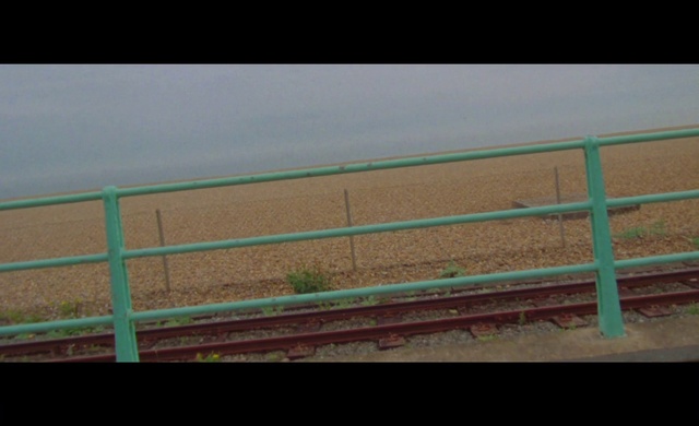 Video Reference: Sky, Fence, Rectangle, Plant, Wood, Land lot, Grass, Plain, Landscape, Tree