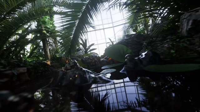 Video Reference: greenhouse, tropical, indoor garden, palm leaves, foliage, water reflection, skylight, plants, lush, nature, botanical, rainforest, rocks, interior, ambient light