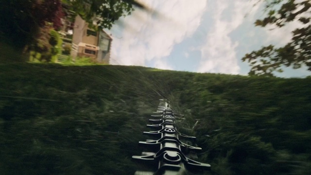 Video Reference: Cloud, Plant, Sky, Leaf, Tree, Biome, Grass, Morning, Tints and shades, Landscape