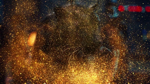 Video Reference: Atmosphere, Gold, Amber, Astronomical object, Atmospheric phenomenon, Science, Midnight, Space, Event, Holiday