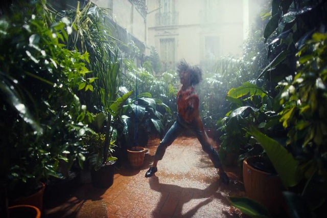 Video Reference: Plant, Flowerpot, Botany, Leaf, Houseplant, Vegetation, Sunlight, Terrestrial plant, Grass, Tree
