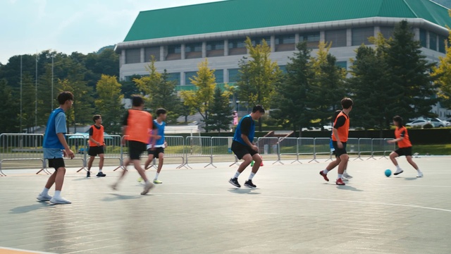 Video Reference: Shorts, Sports equipment, Active shorts, Sky, Player, Tree, Ball, Building, Leisure, Ball game