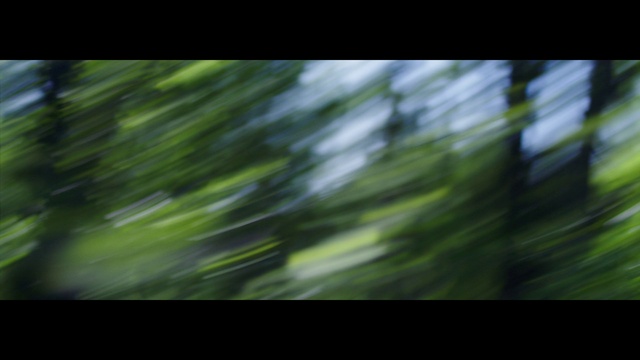 Video Reference: Atmosphere, Branch, Natural landscape, Wood, Terrestrial plant, Automotive lighting, Woody plant, Sky, Tints and shades, Font