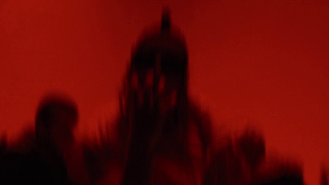 Video Reference: Vertebrate, Sky, Mammal, Pink, Grass, Magenta, Long hair, Event, Darkness, Backlighting