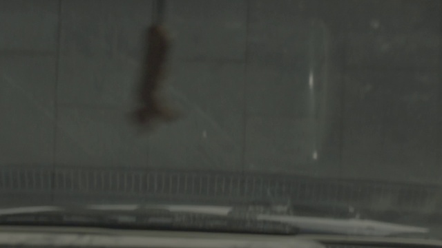 Video Reference: Automotive tire, Hood, Automotive lighting, Bumper, Windscreen wiper, Vehicle door, Automotive mirror, Automotive exterior, Asphalt, Rim