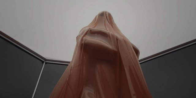 Video Reference: covered figure, sheer fabric, translucent, low angle, indoor, abstract, mysterious, silhouette, draped cloth, minimal background