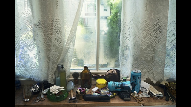 Video Reference: Window, Light, Plant, Green, Textile, Wood, Interior design, Building, Tree, Living room