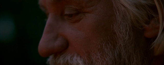 Video Reference: Nose, Eyelash, Jaw, Beard, Wrinkle, Snout, Moustache, Facial hair, Wildlife, Fur