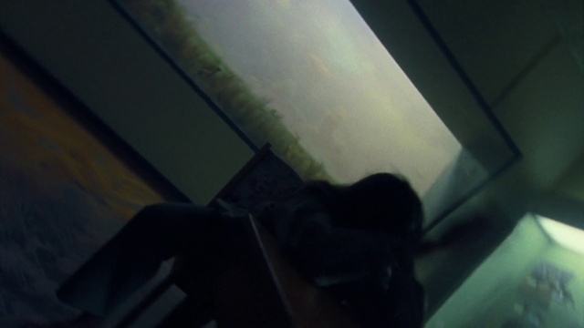 Video Reference: Tints and shades, Flooring, Wood, Human leg, Hardwood, Darkness, Ceiling, Room, Shadow, Sky