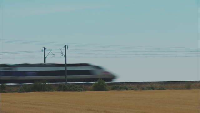 Video Reference: Train, Sky, Land vehicle, Plant, Vehicle, Rolling stock, Track, Mode of transport, Railway, Electricity