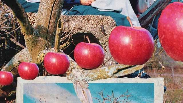 Video Reference: Food, Fruit, Natural foods, Plant, Staple food, Ingredient, Whole food, Superfood, Vegetable, Produce