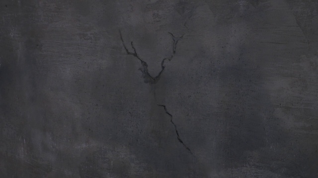 Video Reference: Twig, Wood, Plant, Tints and shades, Freezing, Trunk, Art, Tree, Concrete, Soil