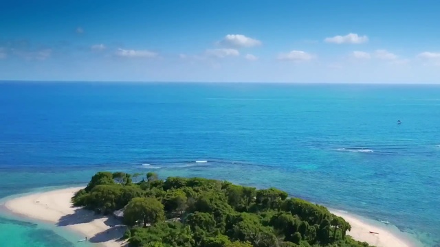 Video Reference: Water, Sky, Cloud, Water resources, Natural landscape, Plant, Beach, Terrain, Tree, Horizon