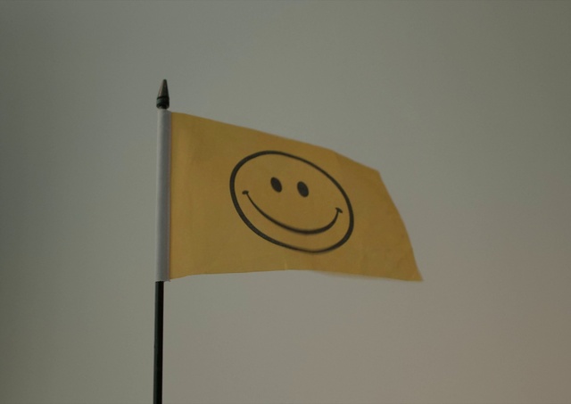 Video Reference: Smile, Rectangle, Emoticon, Wood, Circle, Happy, Number, Symbol, Font, Paper product