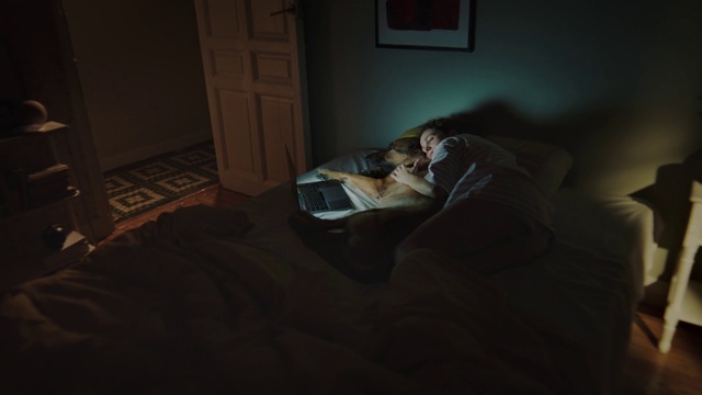 Video Reference: Cat, Comfort, Textile, Wood, Couch, Flooring, Felidae, Door, Hardwood, Whiskers