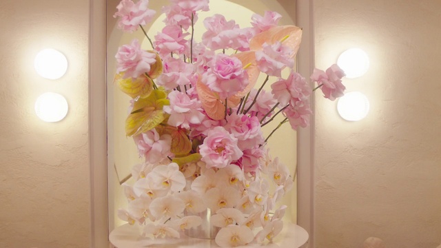 Video Reference: Flower, Plant, Petal, Window, Branch, Twig, Lighting, Creative arts, Pink, Flower Arranging