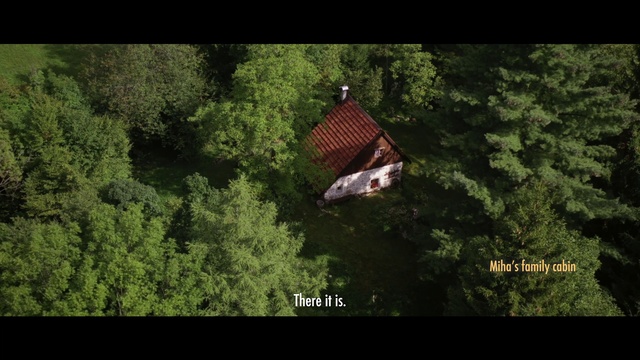 Video Reference: Tree, Natural landscape, Wood, Land lot, Terrestrial plant, House, Grass, Landscape, Font, Forest